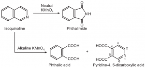 Synthesis And Reactions Of Isoquinoline Solution Parmacy