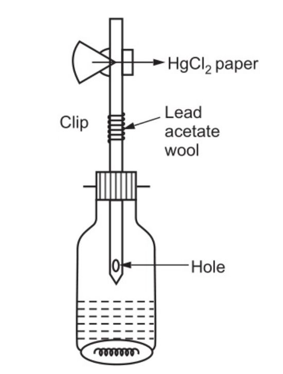 Apparatus for Limit Test of Arsenic