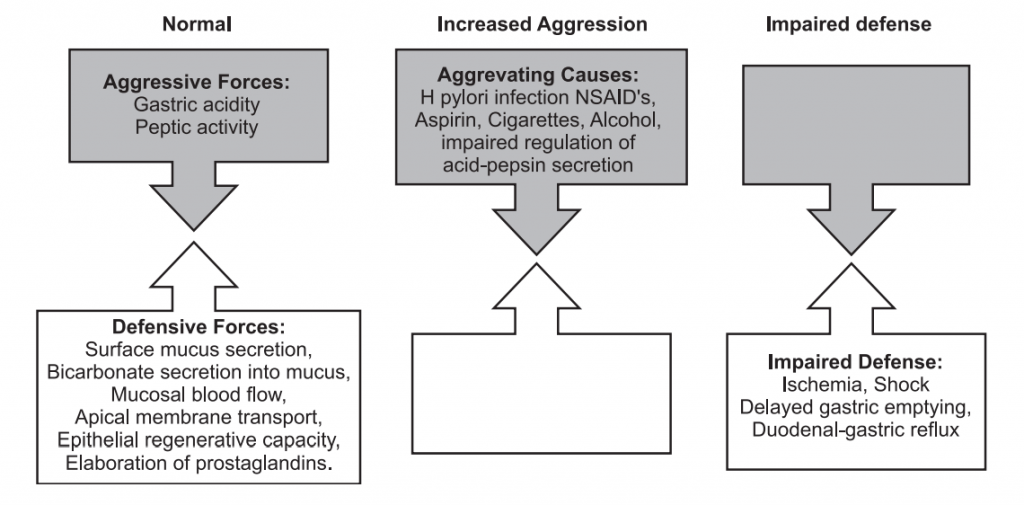 Components of gastric defense and aggressive mechanism