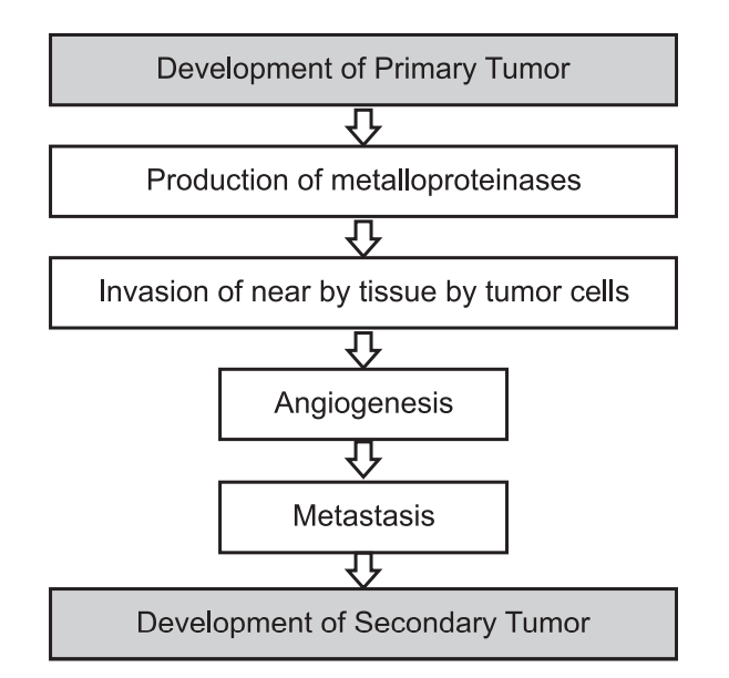 Development of secondary tumor