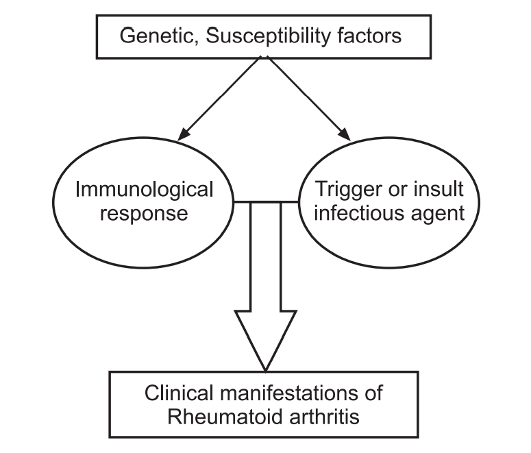 Etiology of Rheumatoid arthritis (RA)