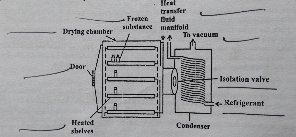 Freeze Dryer - Principle, Construction, How it Works?