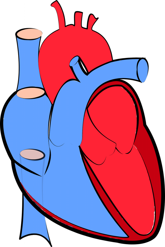 Introduction of Congestive Heart Failure