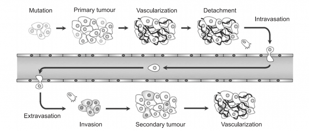 Pathogenesis of cancer