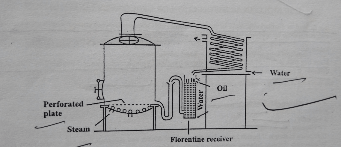 Steam Distillation - How It Works?