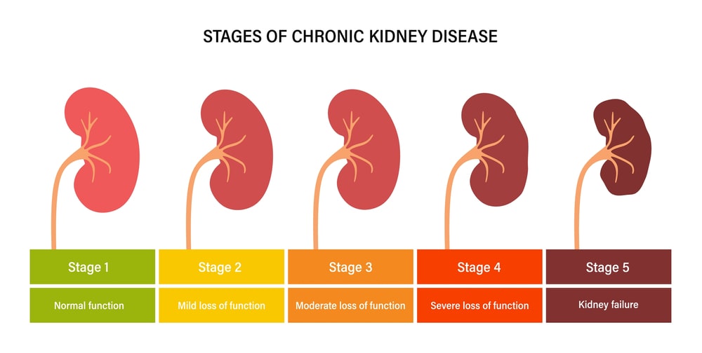 What are the signs of renal failure
