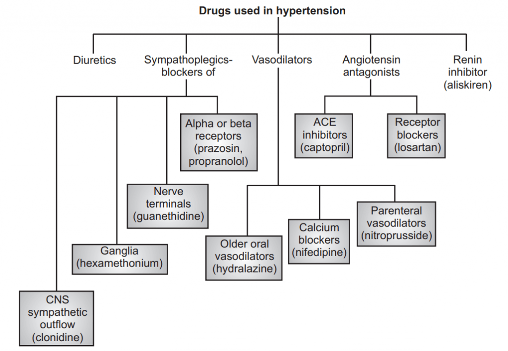 Antihypertensive Drugs Classes
