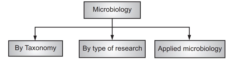 BRANCHES OF MICROBIOLOGY