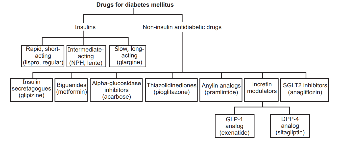 Diabetes Mellitus - Types, symptoms, Treatment, and More