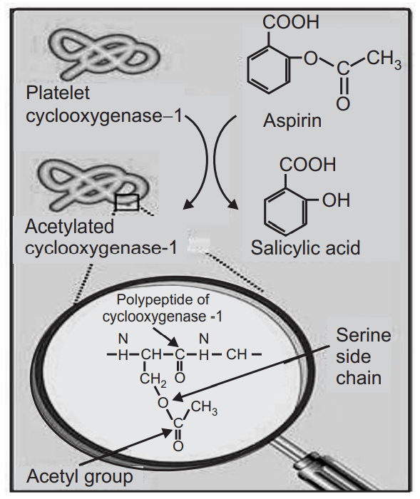 Fig. MoA of Aspirin