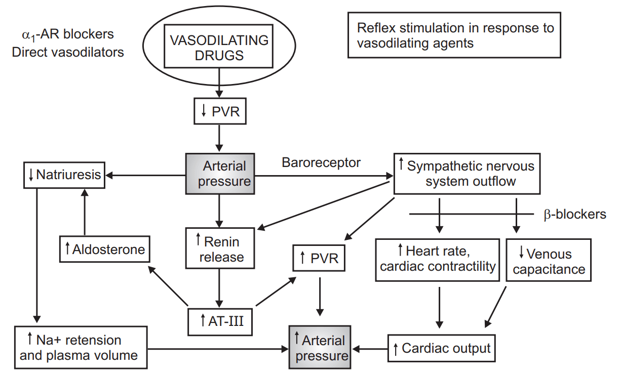 Antihypertensive Drugs (Pharmacology)