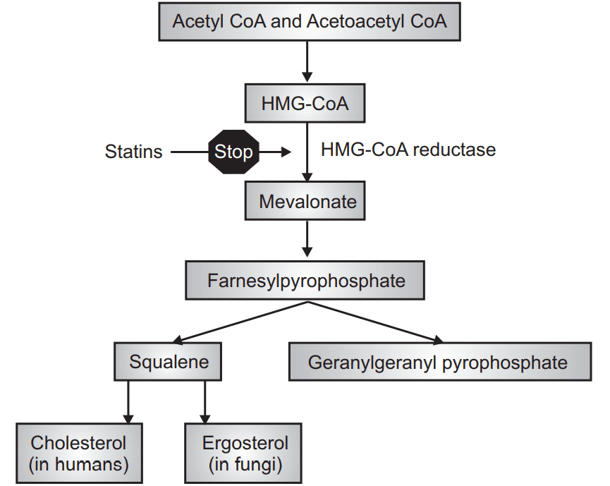 MoA of Statins Hyperlipidemia