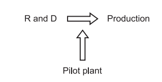 Pilot Plant Scale-Up Techniques