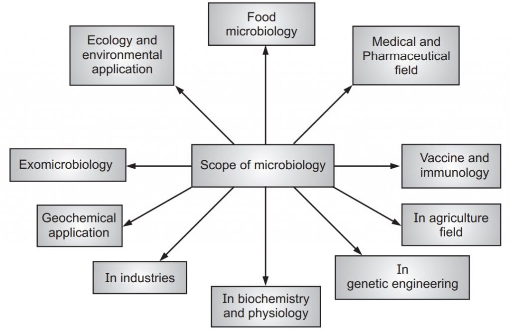 Scope of microbiology in various fields