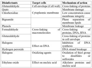 Disinfectants - (Classification, Mode of Action and More)