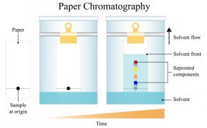 Paper Chromatography - Solution Parmacy