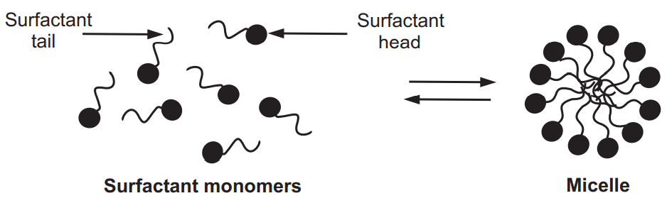 Schematic of the Reversible Monomer-Micelle Thermodynamic Equilibrium