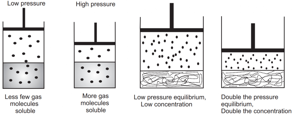 Solubility of Gases at Different Pressures (Solubility of Gas in Liquids)