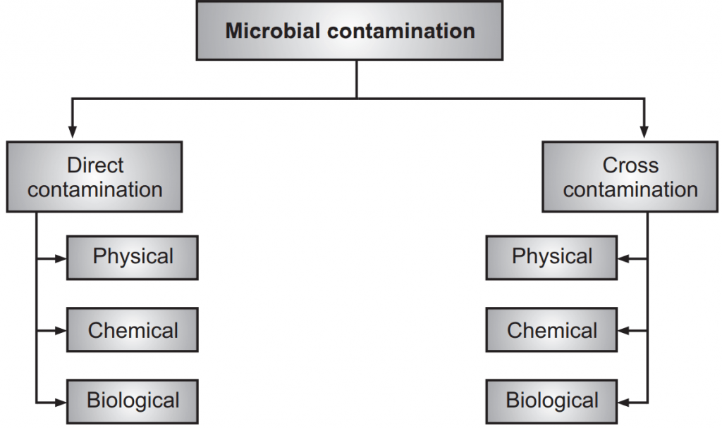 Types of microbial contamination