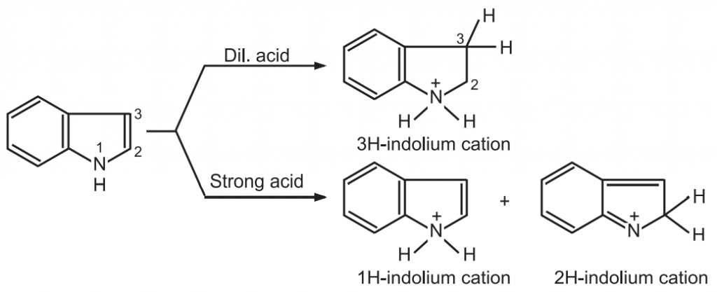 Chemical Reactions of Indoles