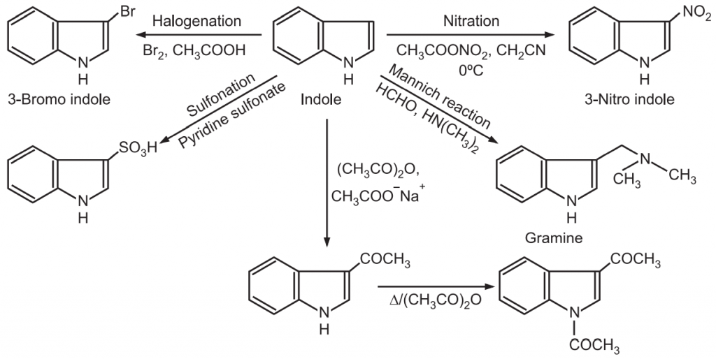 Chemical Reactions of Indoles