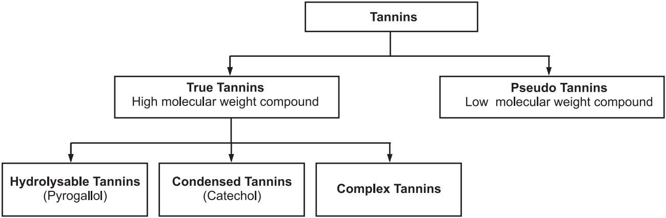 Classification Of Tannins - Solution Parmacy