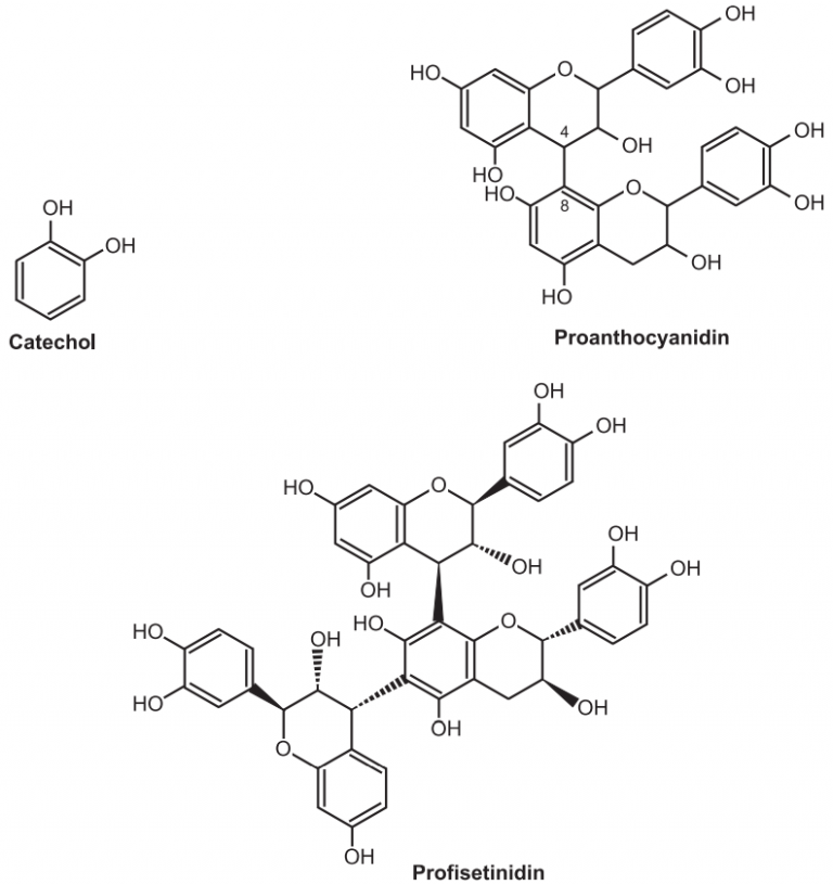 Classification Of Tannins - Solution Parmacy