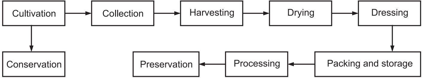 Cultivation and Collection of Drugs of Natural Origin - Solution Parmacy