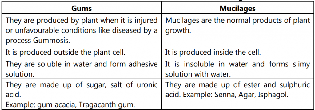 Differences between Gums and Mucilages
