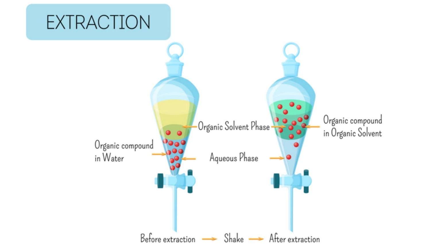 extraction-method-of-alkaloids-solution-parmacy