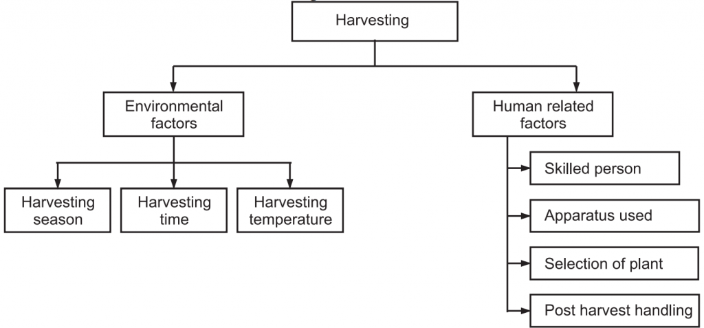 Factor affecting Harvesting
