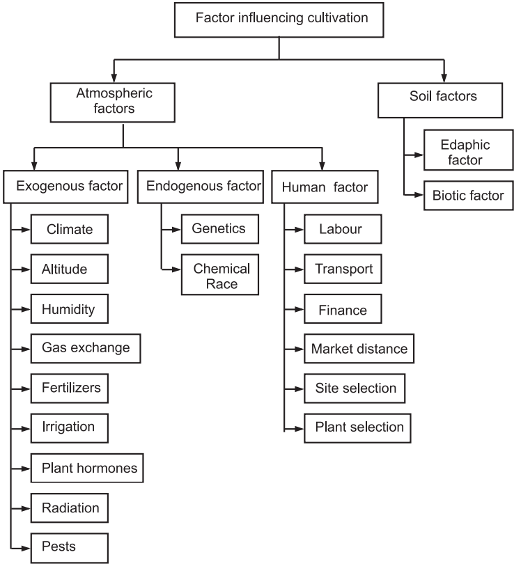 Factors Influencing cultivation of medicinal plants