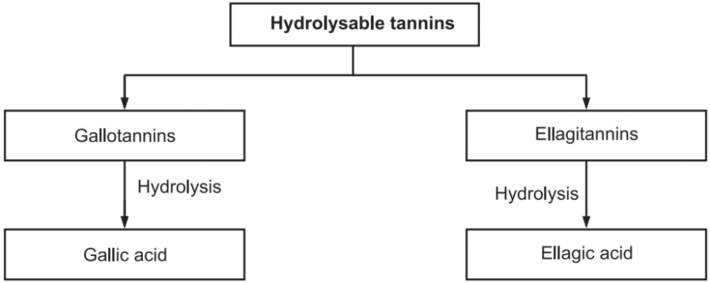 Hydrolysable Tannins