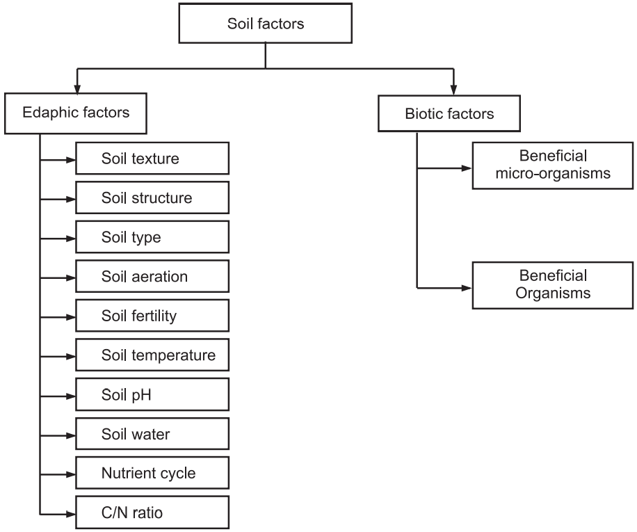 Soil factors