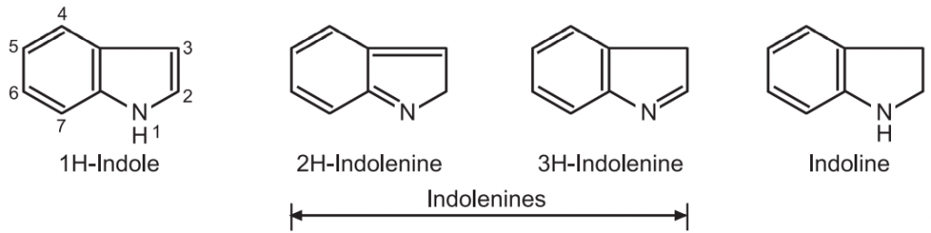 Synthesis and Reactions of Indole