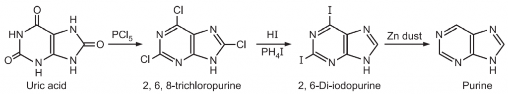 Synthesis of Purine