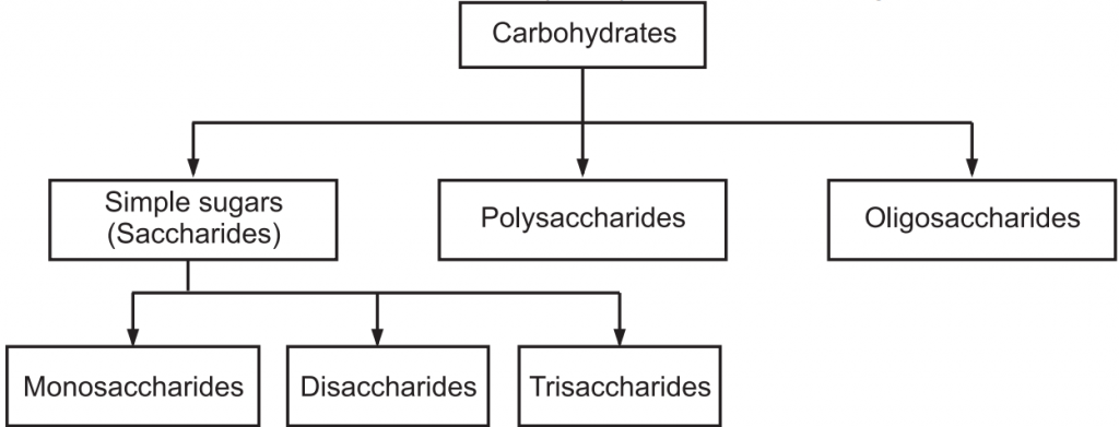 Classification of carbohydrates