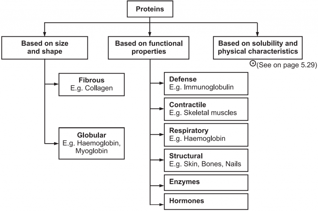 Classification of proteins