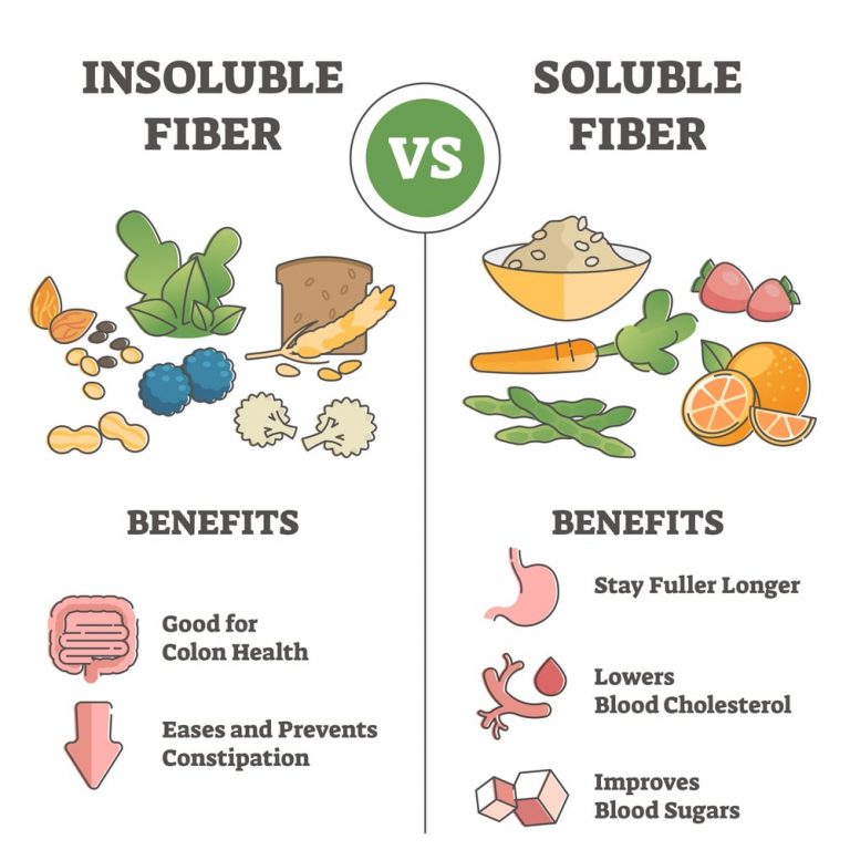 short-note-on-dietary-fiber-solution-parmacy