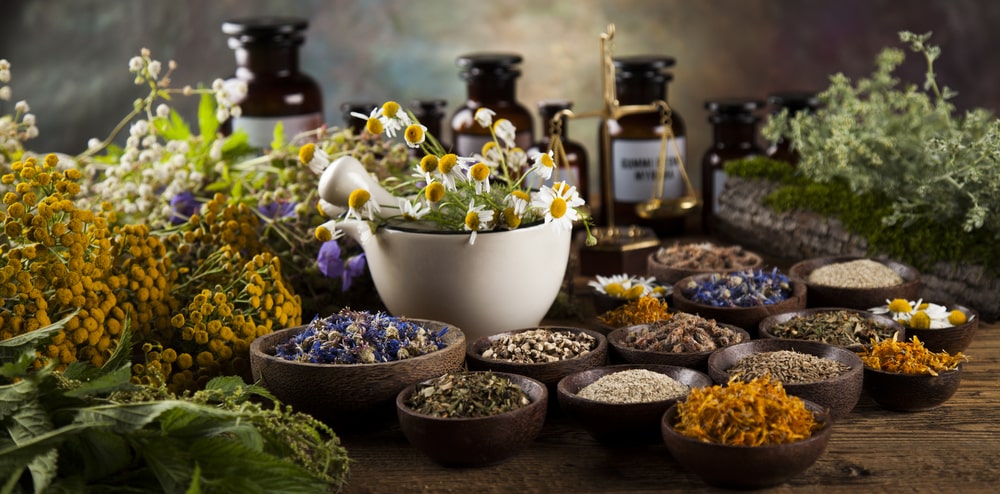 Factors Affecting the Stability of Herbal Medicines
