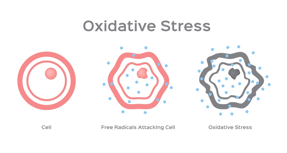 Oxidative Stress And Human Diseases