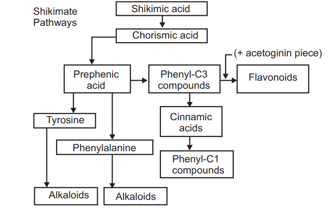 Production of secondary metabolites from Shikimic acid pathway in Plants