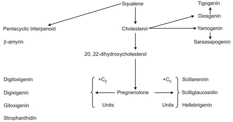 Secondary metabolites obtained by Cholesterol metabolism