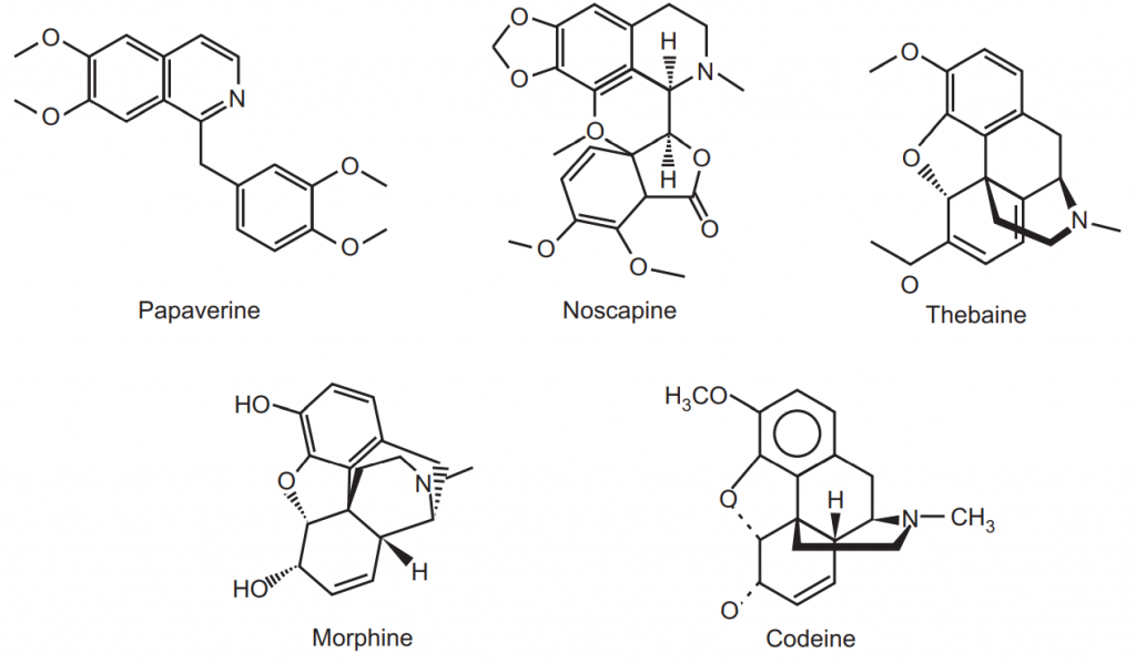 Structure of Opium alkaloids