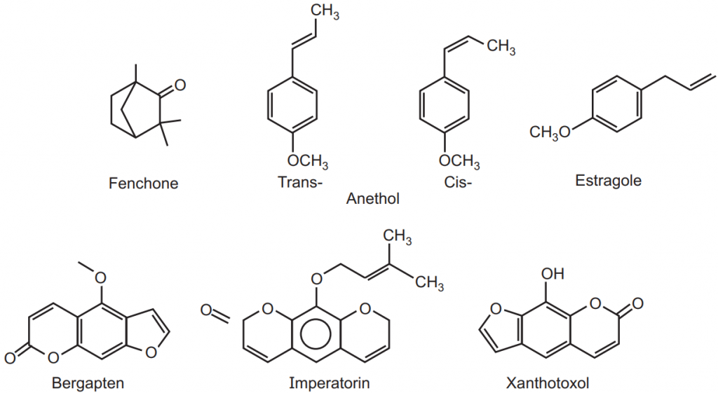 Chemical structure of Fenchone, Anethole (its isomer), Estragole, Bergapten, Imperatorin and Xanthotoxol