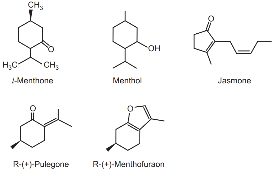 Chemical structure of Mentha plant