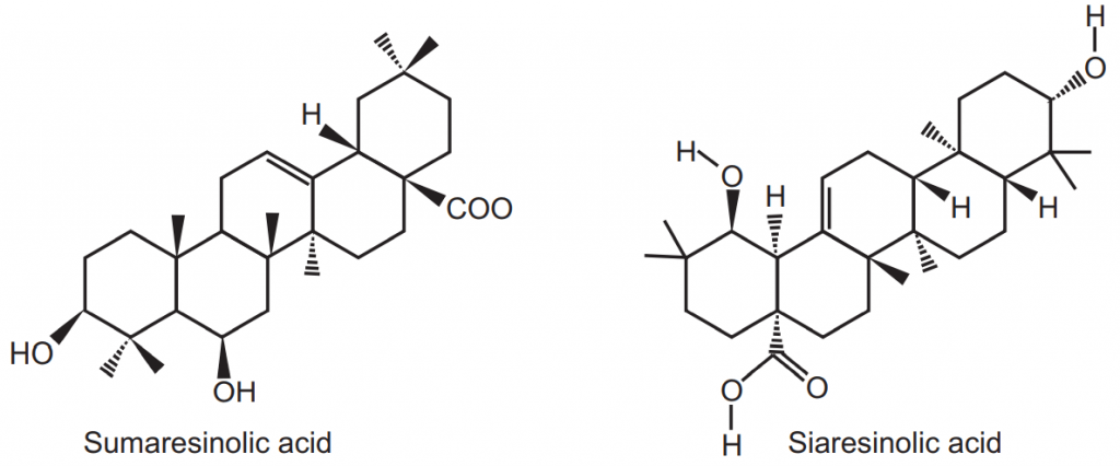 Chemical structure of Sumaresinolic acid and Siaresinolic acid
