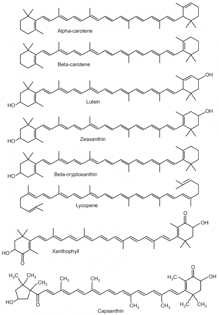 Carotenoids - Solution Parmacy