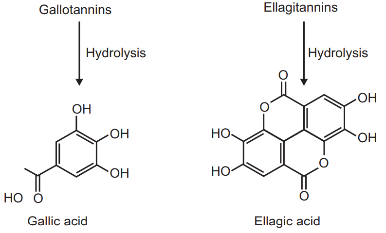Chemical structures of Gallic acid and Ellagic acid