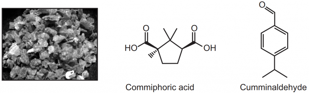 Myrrh tears and Chemical structure of Commiphoric acid and Cuminaldehyde